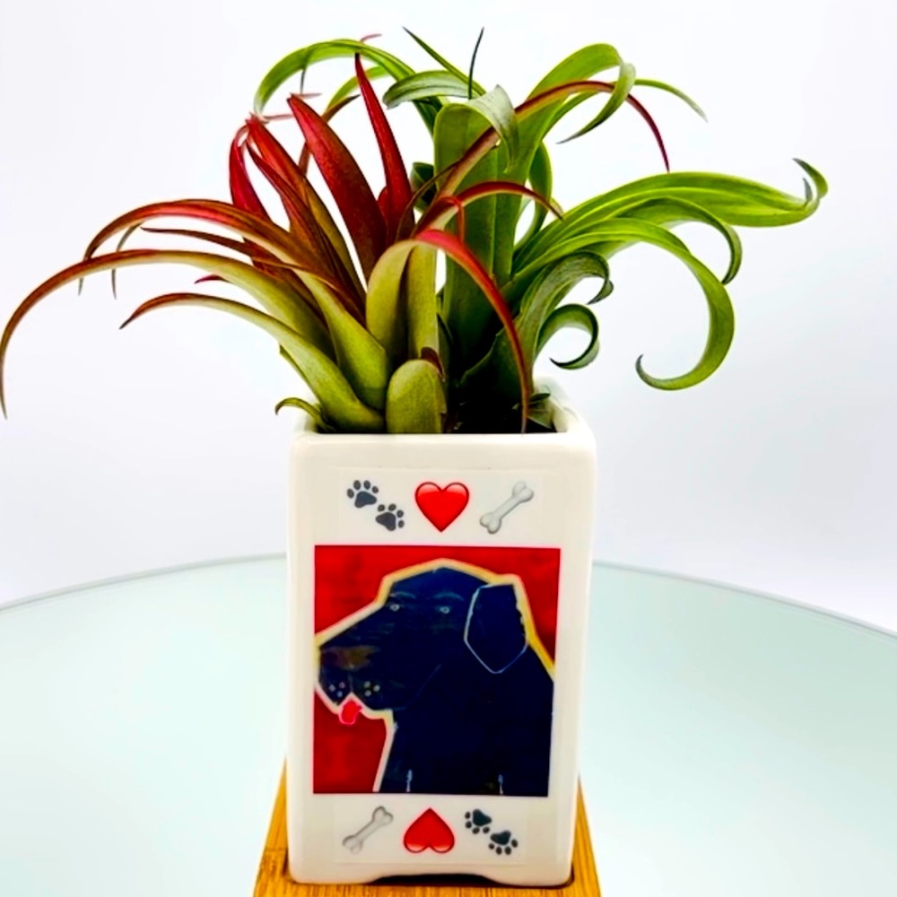 LABRADOR RETRIEVER DOG Art Hand Crafted Home Decor Planter Office Organizer Gift